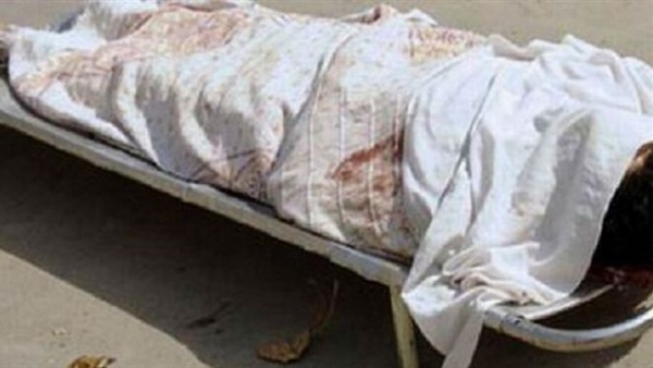 أمن الدقهلية يكشف غموض مقتل ربة منزل بالمنصورة أمن الدقهلية يكشف غموض مقتل ربة منزل بالمنصورة