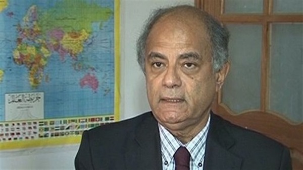 «هريدي»: نتمنى تعاون أمريكا وأوربا معنا للقضاء على الإرهاب