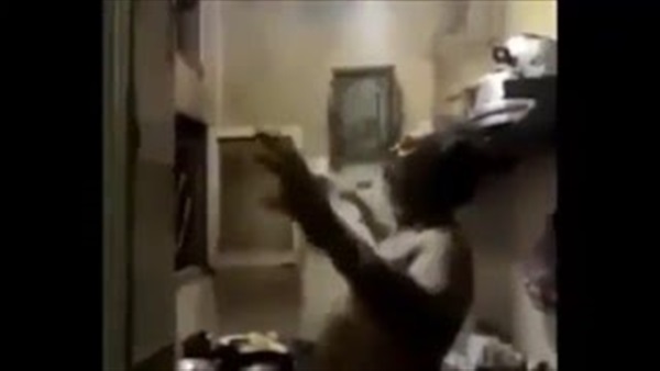 بالفيديو.. لحظات «مجنونة» لراجل سكران داخل مطبخ
