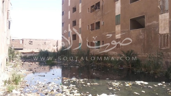 بالصور.. مياه الصرف الصحى تغرق مساكن قرية الزرابي بأسيوط بالصور.. مياه الصرف الصحى تغرق مساكن قرية الزرابي بأسيوط