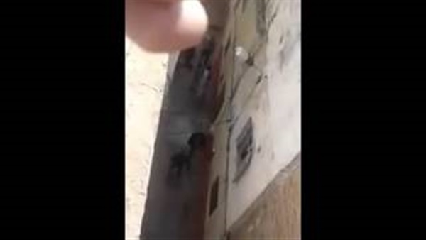 بالفيديو.. راجل يرعب الأهالي بـ «الساطور»