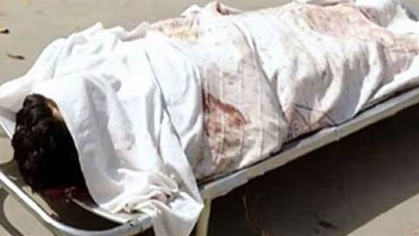 مصرع «خفير» ونفوق 11 رأس أغنام فى حادث بالبحيرة مصرع «خفير» ونفوق 11 رأس أغنام فى حادث بالبحيرة