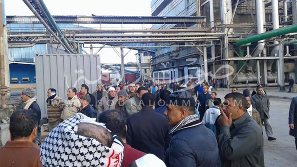 بالصور..تزايد احتجاجات عمال «الدلتا للسكر» بكفرالشيخ بعد رفض مطالبهم بالصور..تزايد احتجاجات عمال «الدلتا للسكر» بكفرالشيخ بعد رفض مطالبهم
