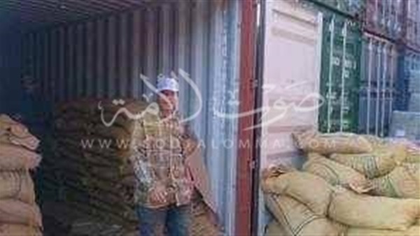 بالصور.. جمارك بورسعيد تحبط تهريب كمية من جوزة الطيب بالصور.. جمارك بورسعيد تحبط تهريب كمية من جوزة الطيب