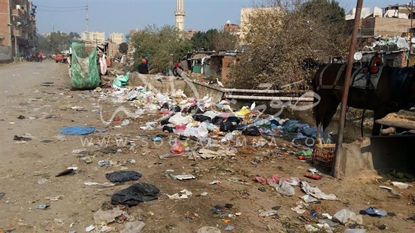 بالصور.. «القمامة» صداع فى رأس «حي ثان الزقازيق» بالصور.. «القمامة» صداع فى رأس «حي ثان الزقازيق»