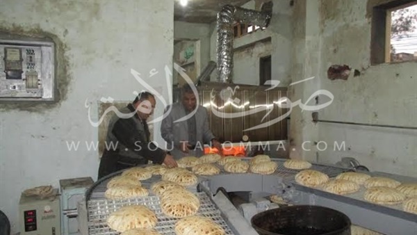 بالصور.. رئيس مدينة بيلا يتفقد عدد من المخابز بكفر الشيخ بالصور.. رئيس مدينة بيلا يتفقد عدد من المخابز بكفر الشيخ