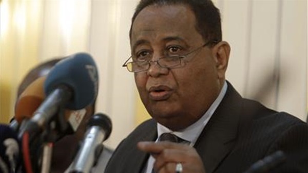 «غندور» يلتقي أعضاء وفد المجلس المصري للشئون الخارجية