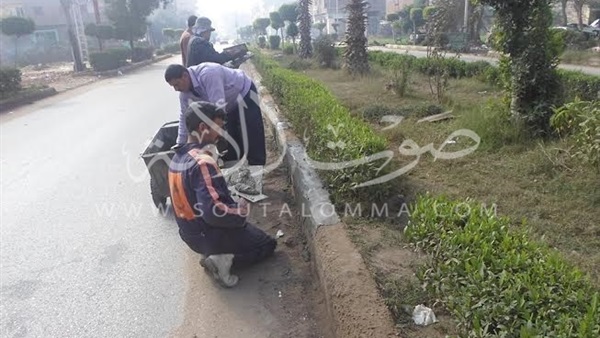 بالصور.. تطوير مدخل مدينة الباجور استعدادا لمسابقة أجمل مدينة