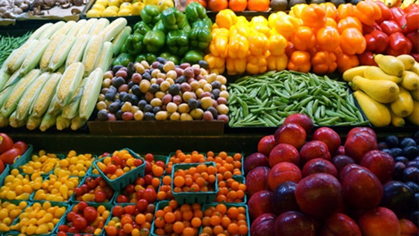 تقرير للزراعة: 252 ألف طن فاكهة و112 ألف طن خضروات صادرات مصر في شهر