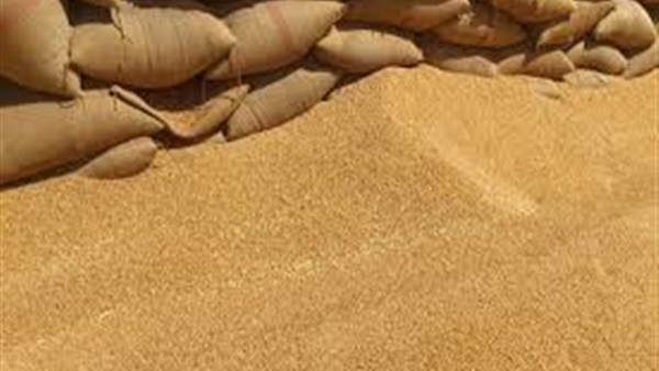 «الزراعة» تقرر منع دخول شحنة القمح الفرنسية الفاسدة