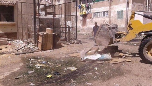 إزالة 11 عشة دواجن بضواحي بورسعيد إزالة 11 عشة دواجن بضواحي بورسعيد