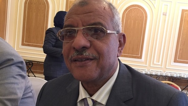 نائب برلماني: خطاب «السيسي» أعطى دفعة إلى الأمام للنواب نائب برلماني: خطاب «السيسي» أعطى دفعة إلى الأمام للنواب