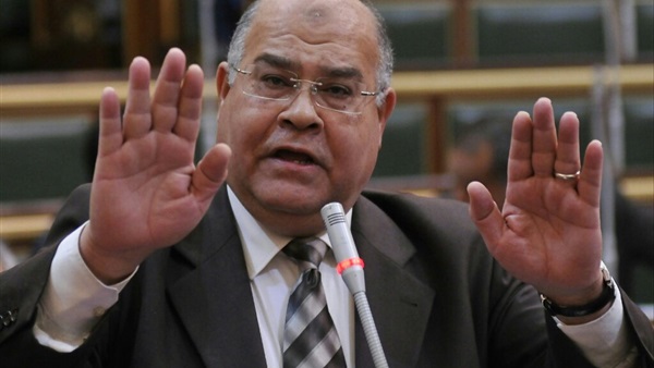 «الشهابي»: توقعت أن يتضمن الخطاب معاناة المواطن المصري