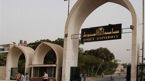 جامعة أسيوط تنظم ورشة عمل دولية حول العلاج الإشعاعى ثلاثى الأبعاد