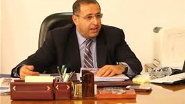 «وزير الإستثمار»: إعادة هيكلة قطاع الأعمال بـ6 خطوات «وزير الإستثمار»: إعادة هيكلة قطاع الأعمال بـ6 خطوات