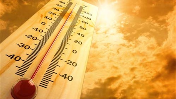 البصل يحارب إرتفاع درجات الحرارة 