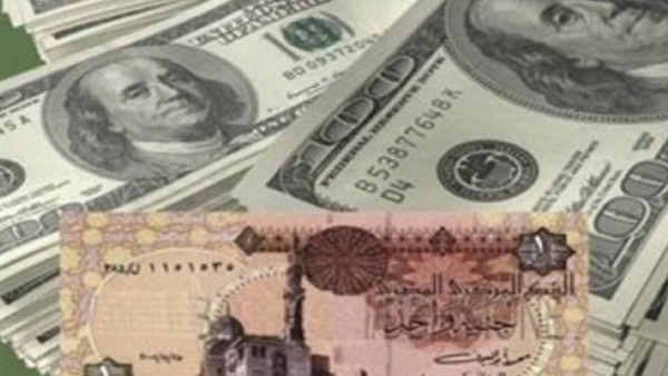 «خبير إقتصادي»: رفع سقف الإيداع غير كاف لحل أزمة «الدولار»