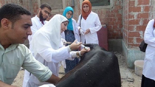  قوافل علاجية بيطرية لجنوب البحر الأحمر 