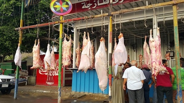 مديرية أمن الدقهلية تنشئ 7 منافذ  لبيع اللحوم بـ 55 جنيهًا للكيلو 