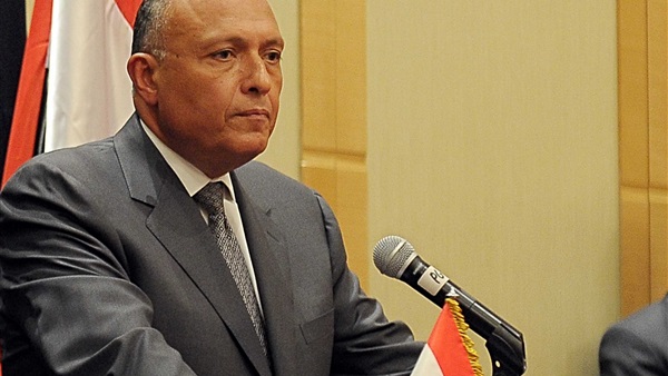 شكرى يناقش مع «ماكجورك» التحالف ضد «داعش» شكرى يناقش مع «ماكجورك» التحالف ضد «داعش»