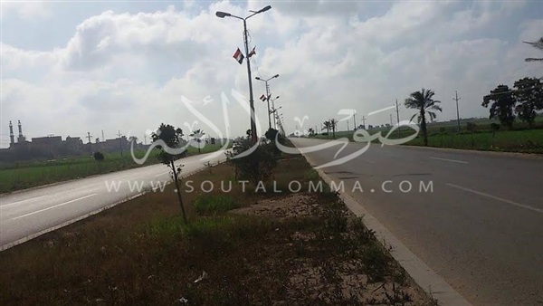 بالصور.. رفع كفاءة وتطوير مدخل كفر الشيخ بالصور.. رفع كفاءة وتطوير مدخل كفر الشيخ