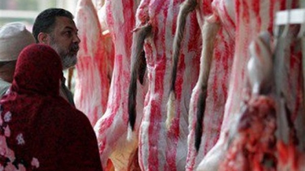 تموين القليوبية تتسلم 88 طن لحوم لتوزيعها على المواطنين تموين القليوبية تتسلم 88 طن لحوم لتوزيعها على المواطنين