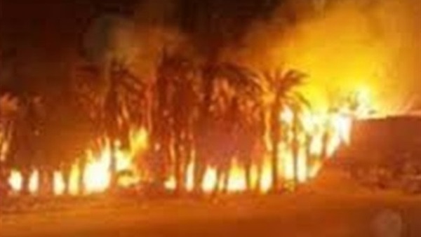 حريق هائل بمزرعة نخيل المنور بمركز الخارجة حريق هائل بمزرعة نخيل المنور بمركز الخارجة