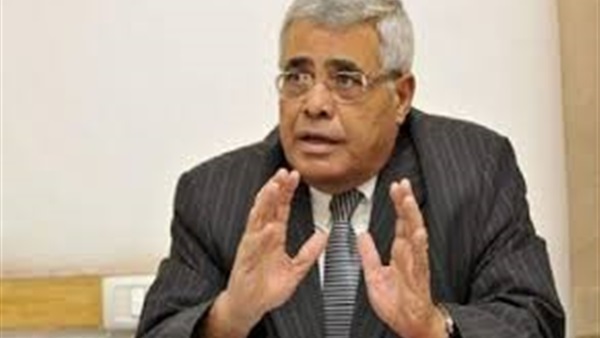 نافعة: اقتلاع جذور الفساد من المؤسسات الحكومية  سيزيد من شعبية الرئيس 