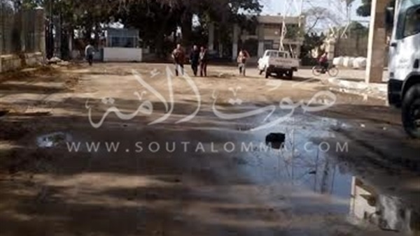 بالصور.. حملة نظافة أمام مبنى هيئة قناة السويس بالصور.. حملة نظافة أمام مبنى هيئة قناة السويس