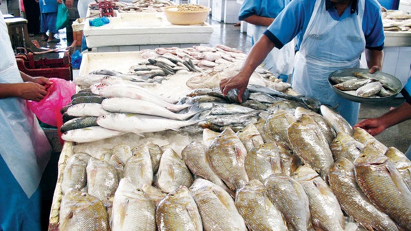 ركود سوق السمك سبب شائعة انتشار الأسماك النافقة بالشرقية