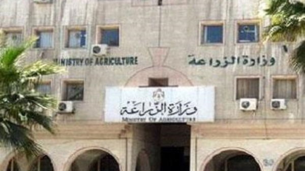 «الزراعة»: 68 دورة تدريبية لتأهيل مهندسي البساتين «الزراعة»: 68 دورة تدريبية لتأهيل مهندسي البساتين