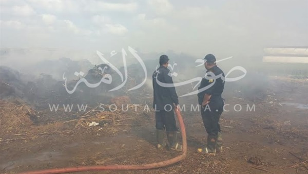 بالصور..السيطرة على حريق بشونة لقش الأرز بالدقهلية بالصور..السيطرة على حريق بشونة لقش الأرز بالدقهلية