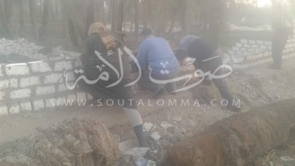 بالصور.. حملة مكبرة لإزالة التعديات علي الأراضي الزراعية بالفيوم بالصور.. حملة مكبرة لإزالة التعديات علي الأراضي الزراعية بالفيوم