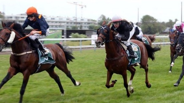 انطلاق مهرجان «أم الإمارات» للخيول العام القادم بمصر