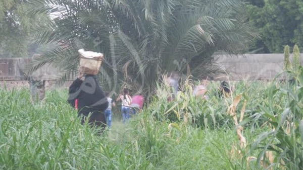 بالفيديووالصور.. أهالي الغنايم بأسيوط يزورون القبور في أول أيام العيد بالفيديووالصور.. أهالي الغنايم بأسيوط يزورون القبور في أول أيام العيد