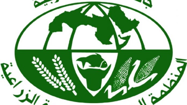 الثلاثاء.. مصر تستضيف اجتماعات وزراء الزراعة العرب الثلاثاء.. مصر تستضيف اجتماعات وزراء الزراعة العرب