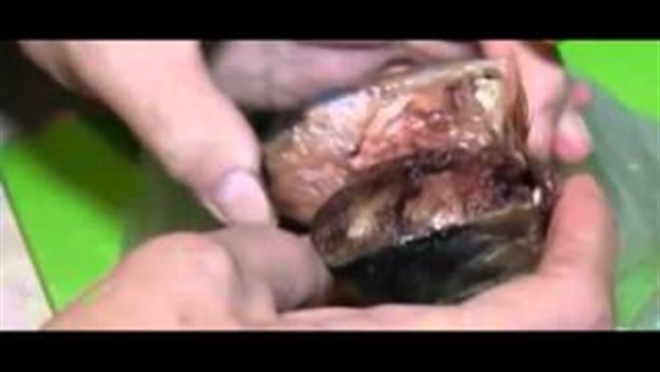 بالفيديو.. لقطات مرعبة لسمكة تصدر إضاءه في الظلام بالفيديو.. لقطات مرعبة لسمكة تصدر إضاءه في الظلام