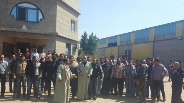 عمال المصرية للأخشاب يحررون محاضر ضد رئيس الشركة