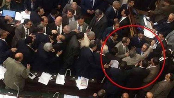 خبيرة إجتماعية: واقعة ضرب «عكاشة» إهانة للمجلس خبيرة إجتماعية: واقعة ضرب «عكاشة» إهانة للمجلس
