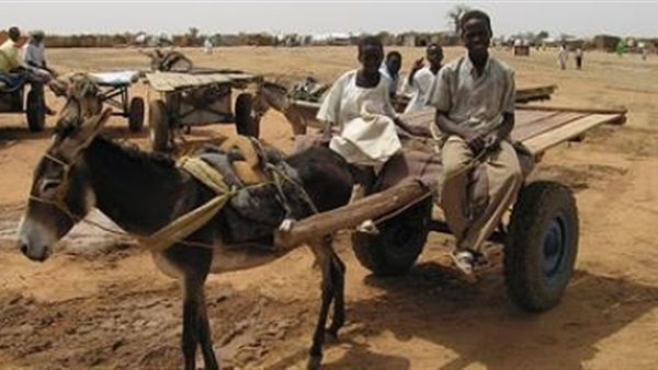 بالصور.. «الكارو» تغزو إثيوبيا بسبب اشتعال الثورة الأورومية بالصور.. «الكارو» تغزو إثيوبيا بسبب اشتعال الثورة الأورومية
