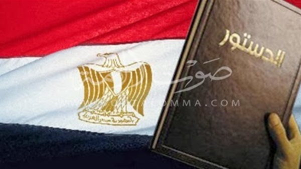 خبير دستوري: الدستور الحالي يحتاج إلى تعديل