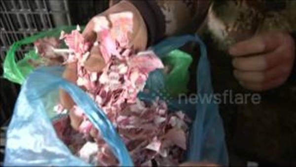 بالفيديو.. رجل صيني يمزق مبلغ مالي فيصاب بالصدمة