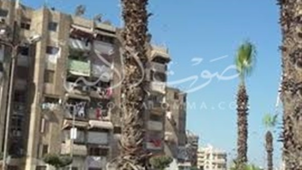 بالصور.. تطوير الحدائق والمسطحات الخضراء بضواحى بورسعيد بالصور.. تطوير الحدائق والمسطحات الخضراء بضواحى بورسعيد