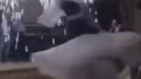 شاهد.. فيديو ساخر لعروسين اثناء رقصتهم الأولى شاهد.. فيديو ساخر لعروسين اثناء رقصتهم الأولى