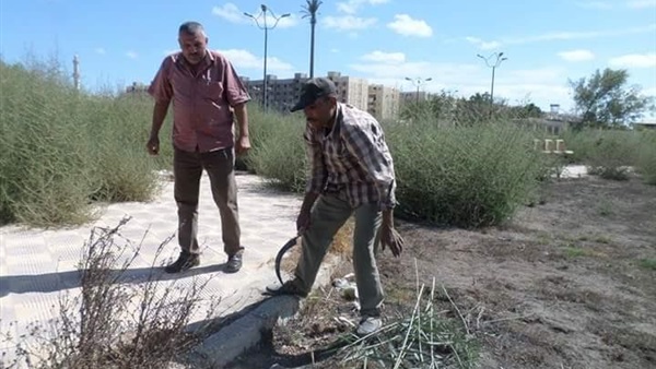 بالصور..حي الضواحي يبدأ تطوير حديقة بورسعيد الدولية بالصور..حي الضواحي يبدأ تطوير حديقة بورسعيد الدولية