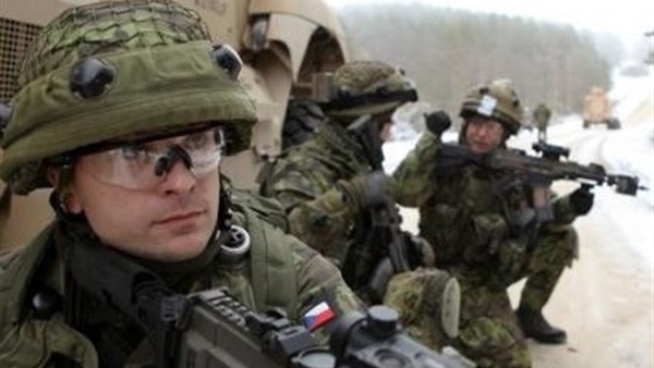 الشرطة التشيكية تشارك النمسا في تدريبات على الحدود