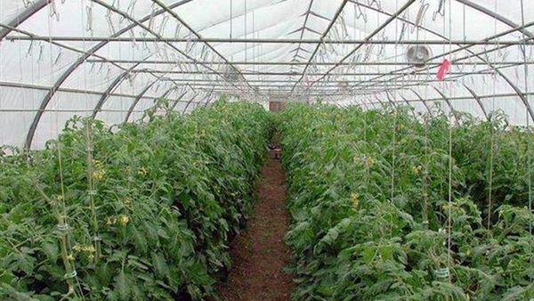 خطة لمضاعفة الاستثمارات المشتركة والتجارة مع بولندا