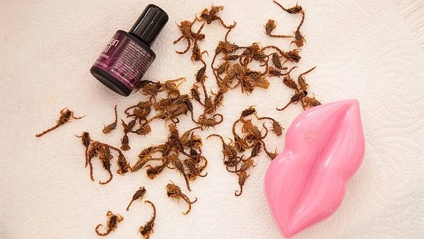 بالصور.. تعرفي على أخطر صيحة في عالم التجميل