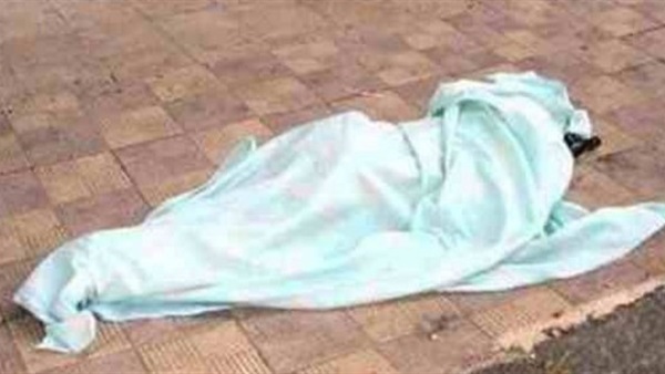 مصرع طفلة صدمتها سيارة مجهولة بالطريق الزراعي بالبحيرة 
