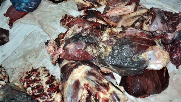 التحفظ على 2 طن أرز و120 كيلو لحوم فاسدة بالمنيا التحفظ على 2 طن أرز و120 كيلو لحوم فاسدة بالمنيا